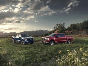 2021 F-150s