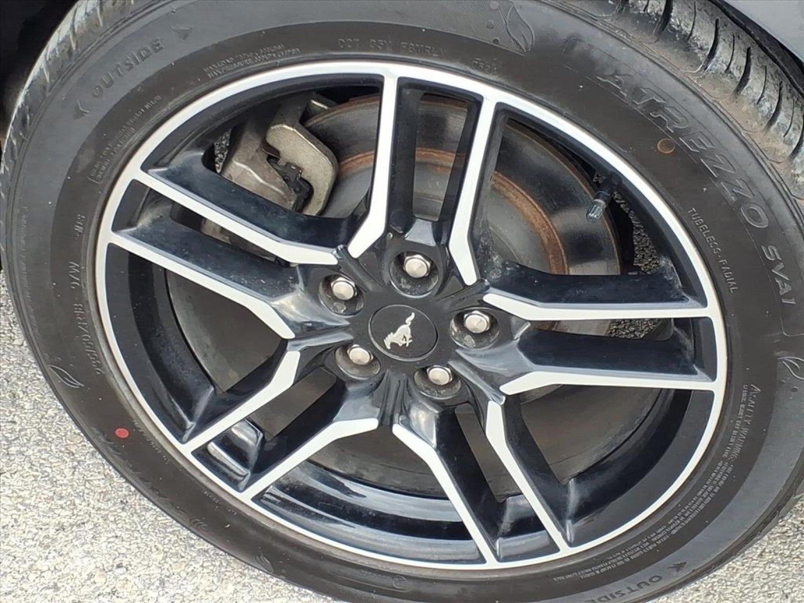 2023 Ford Mustang EcoBoost